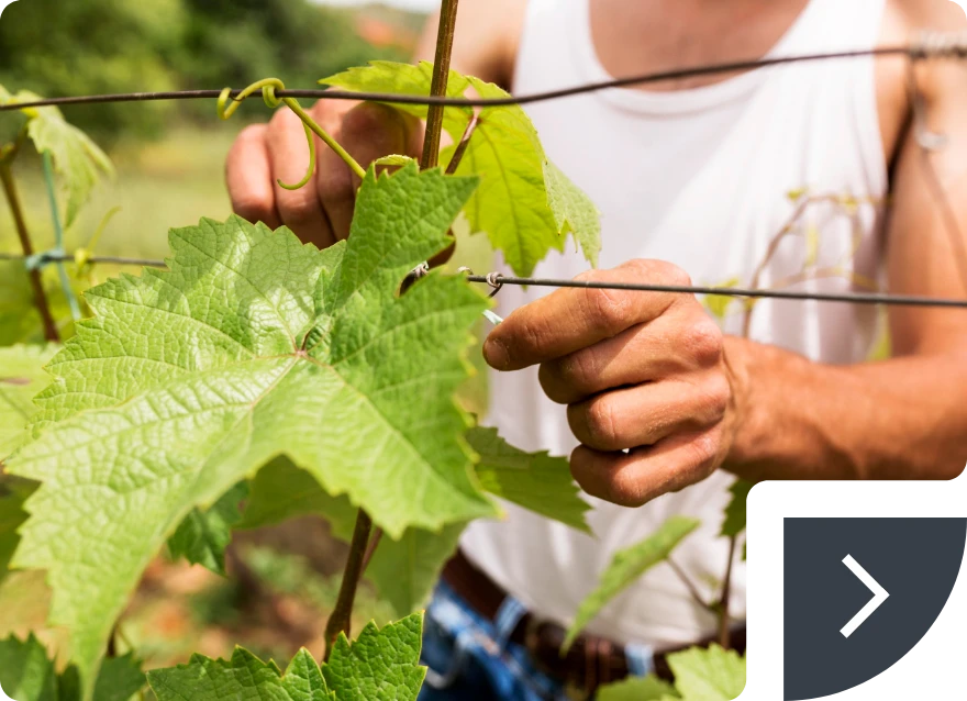 Cabinet d’expertise comptable OWLIA à Dijon